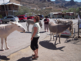 Side Trip to Oatman